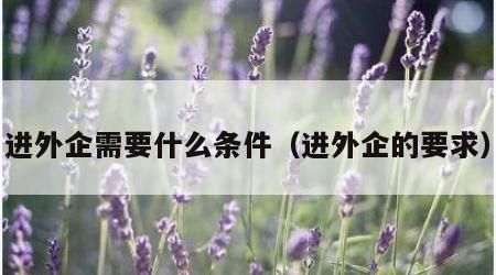 进外企需要什么条件（进外企的要求）