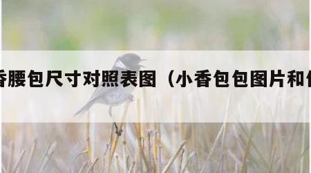 小香腰包尺寸对照表图（小香包包图片和价格）