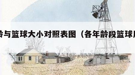 年龄与篮球大小对照表图（各年龄段篮球用多大）