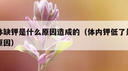 人体缺钾是什么原因造成的（体内钾低了是什么原因）