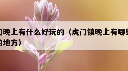 虎门晚上有什么好玩的（虎门镇晚上有哪些好玩的地方）