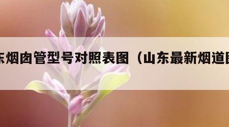 山东烟囱管型号对照表图（山东最新烟道图集）