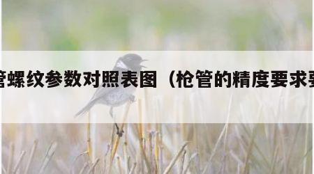 枪管螺纹参数对照表图（枪管的精度要求要多高）