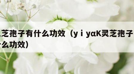 灵芝孢子有什么功效（yⅰyαK灵芝孢子有什么功效）