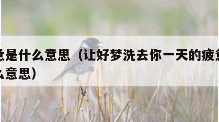 疲惫是什么意思（让好梦洗去你一天的疲惫是什么意思）