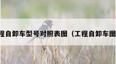 工程自卸车型号对照表图（工程自卸车图片）