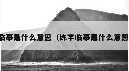 临摹是什么意思（练字临摹是什么意思）