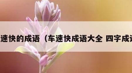 车速快的成语（车速快成语大全 四字成语）