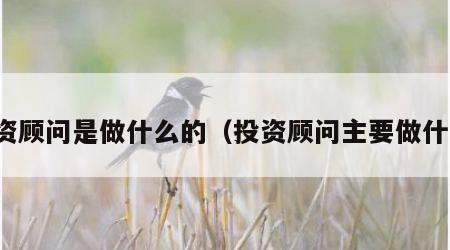 投资顾问是做什么的（投资顾问主要做什么）