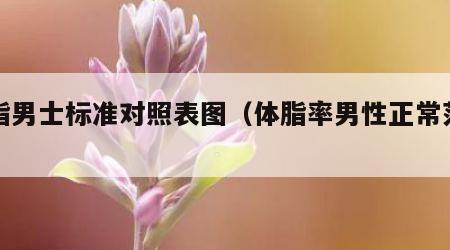 体脂男士标准对照表图（体脂率男性正常范围）
