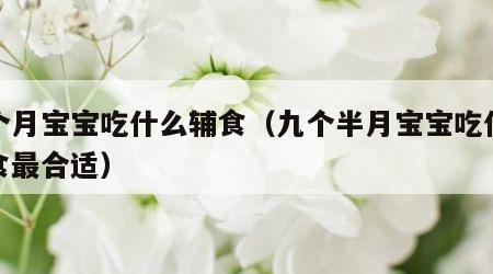 九个月宝宝吃什么辅食（九个半月宝宝吃什么辅食最合适）