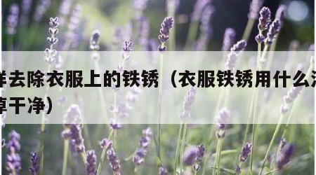 怎样去除衣服上的铁锈（衣服铁锈用什么洗能洗掉干净）