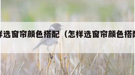 怎样选窗帘颜色搭配（怎样选窗帘颜色搭配好看）