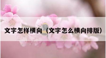 文字怎样横向（文字怎么横向排版）