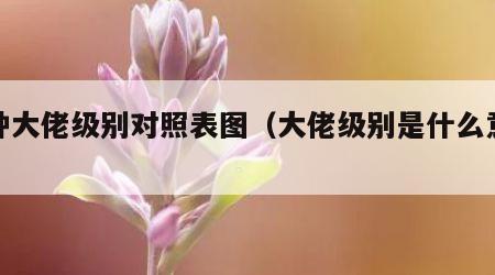 各种大佬级别对照表图（大佬级别是什么意思）
