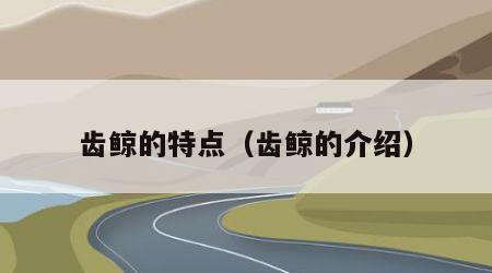 齿鲸的特点（齿鲸的介绍）