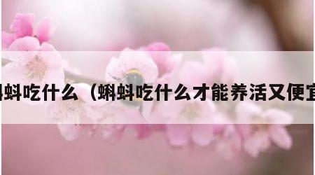 蝌蚪吃什么（蝌蚪吃什么才能养活又便宜）