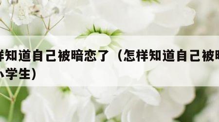 怎样知道自己被暗恋了（怎样知道自己被暗恋了小学生）