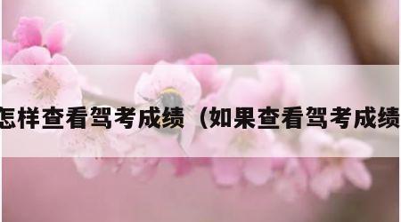 怎样查看驾考成绩（如果查看驾考成绩）