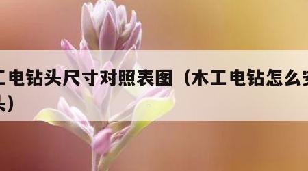 木工电钻头尺寸对照表图（木工电钻怎么安装钻头）