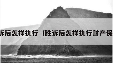 胜诉后怎样执行（胜诉后怎样执行财产保全）