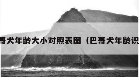 巴哥犬年龄大小对照表图（巴哥犬年龄识别）