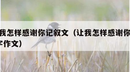 让我怎样感谢你记叙文（让我怎样感谢你500字作文）