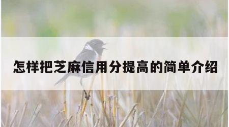 怎样把芝麻信用分提高的简单介绍