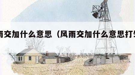 风雨交加什么意思（风雨交加什么意思打生肖）