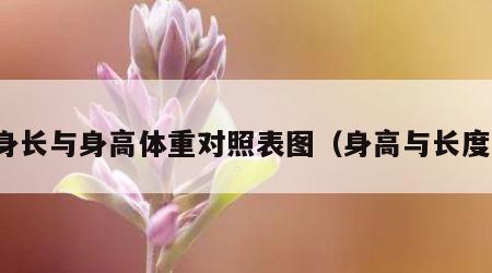 身长与身高体重对照表图（身高与长度）