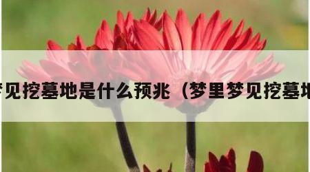 梦见挖墓地是什么预兆（梦里梦见挖墓地）