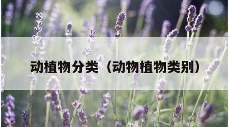 动植物分类（动物植物类别）