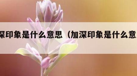 加深印象是什么意思（加深印象是什么意思?）