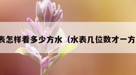 水表怎样看多少方水（水表几位数才一方水）
