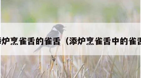 添炉烹雀舌的雀舌（添炉烹雀舌中的雀舌）