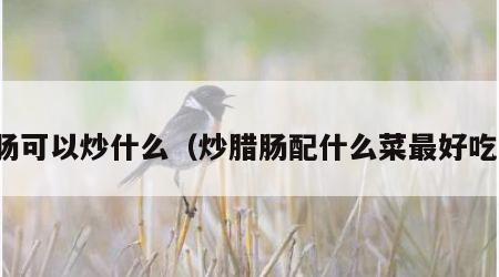 腊肠可以炒什么（炒腊肠配什么菜最好吃呢）