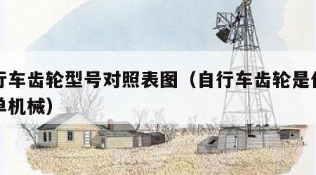 自行车齿轮型号对照表图（自行车齿轮是什么简单机械）