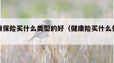 健康保险买什么类型的好（健康险买什么保险好）