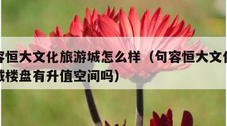 句容恒大文化旅游城怎么样（句容恒大文化旅游城楼盘有升值空间吗）