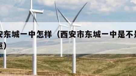西安东城一中怎样（西安市东城一中是不是省重点）