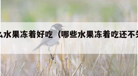 什么水果冻着好吃（哪些水果冻着吃还不失营养）
