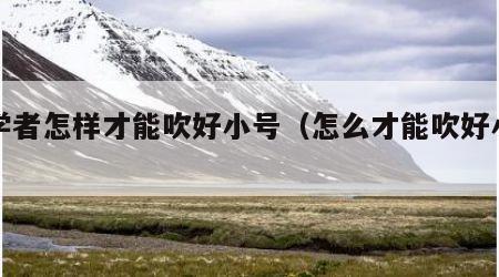 初学者怎样才能吹好小号（怎么才能吹好小号）