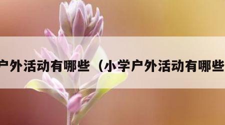 户外活动有哪些（小学户外活动有哪些）