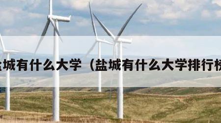 盐城有什么大学（盐城有什么大学排行榜）