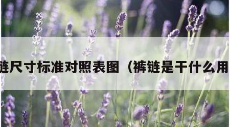 裤链尺寸标准对照表图（裤链是干什么用的）