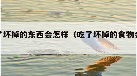 吃了坏掉的东西会怎样（吃了坏掉的食物会怎样）