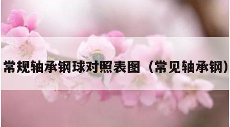 常规轴承钢球对照表图（常见轴承钢）