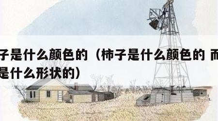 柿子是什么颜色的（柿子是什么颜色的 而且还是什么形状的）