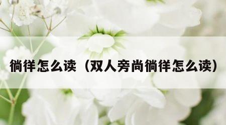 徜徉怎么读（双人旁尚徜徉怎么读）