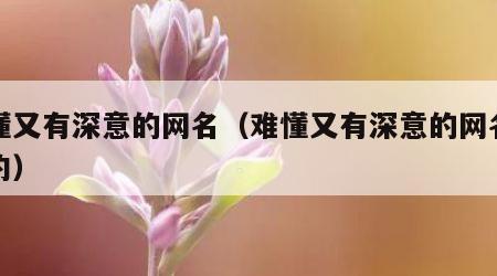 难懂又有深意的网名（难懂又有深意的网名女简约）